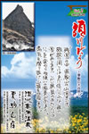 Vol.2