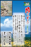 Vol.3