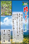 Vol.4