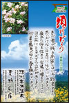 Vol.5