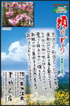 Vol.6