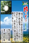 Vol.7