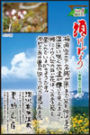 Vol.8