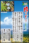Vol.9