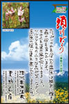 Vol.10