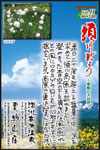 Vol.11