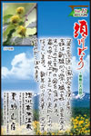 Vol.12