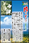 Vol.14