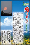 Vol.15