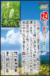 Vol.16