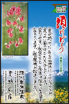 Vol.18