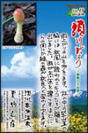 Vol.19