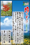 Vol.20
