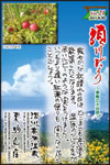 Vol.21