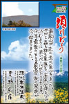 Vol.21