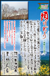 Vol.21