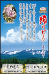 Vol.3