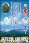 Vol.4