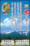 Vol.5