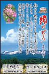 Vol.6
