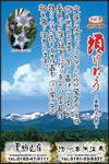 Vol.8