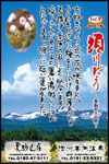 Vol.9