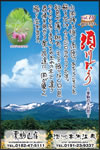 Vol.10