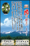 Vol.11