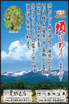 Vol.12