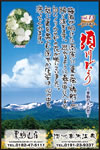 Vol.13