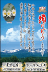 Vol.14