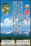 Vol.16