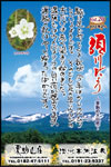 Vol.20