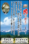 Vol.21