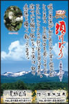 Vol.22