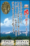 Vol.23
