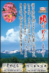 Vol.24