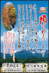 Vol.26