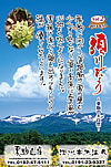 Vol.2