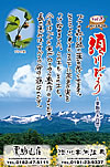 Vol.8