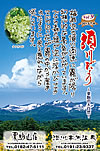 Vol.9