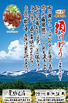 Vol.10