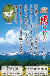Vol.12