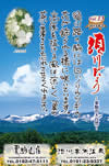 Vol.13