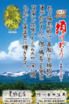 Vol.14