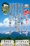 Vol.15