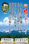 Vol.16