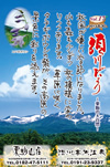 Vol.17