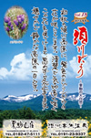 Vol.18