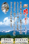 Vol.19